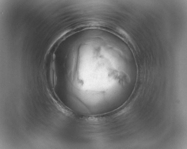 X0000068860827200605192015