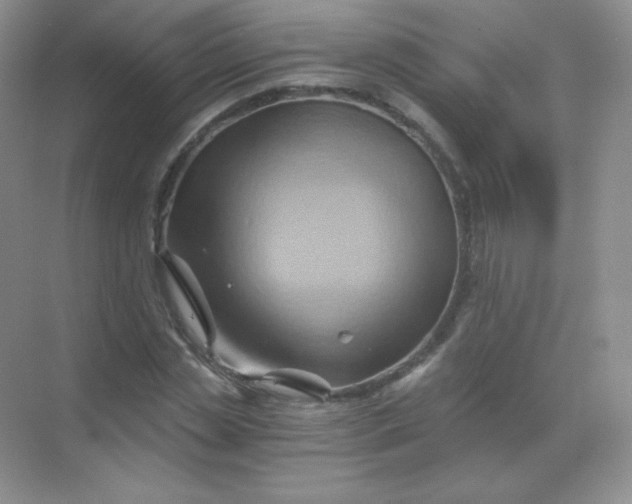 X0000068860829200605192015