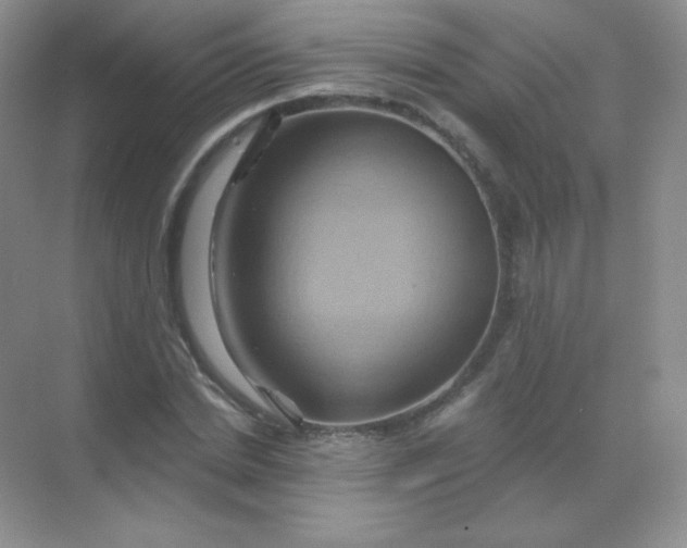 X0000068860830200605192015