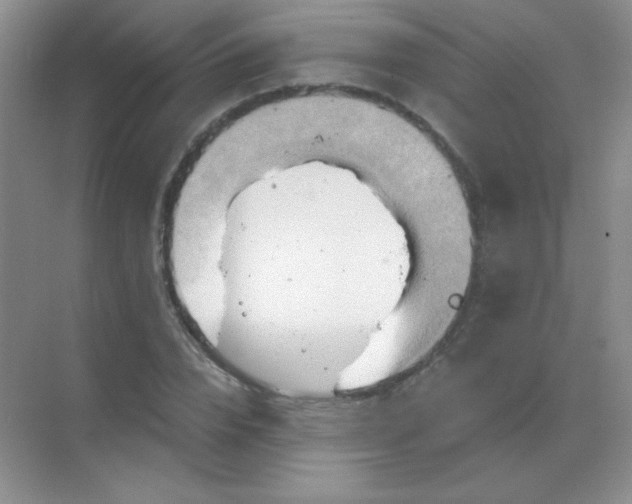 X0000068860832200605192015