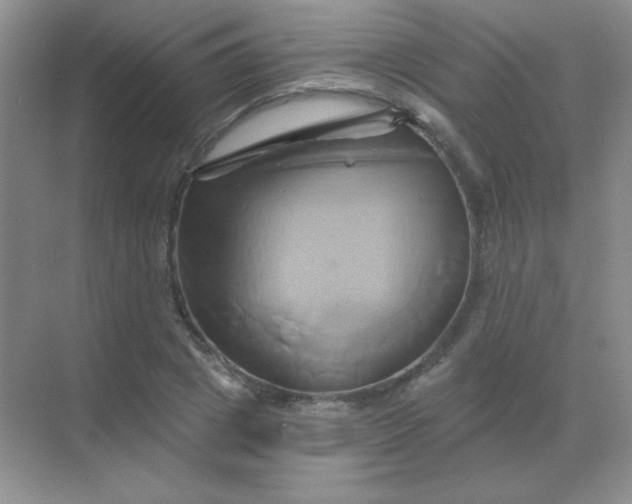 X0000068860833200605192015