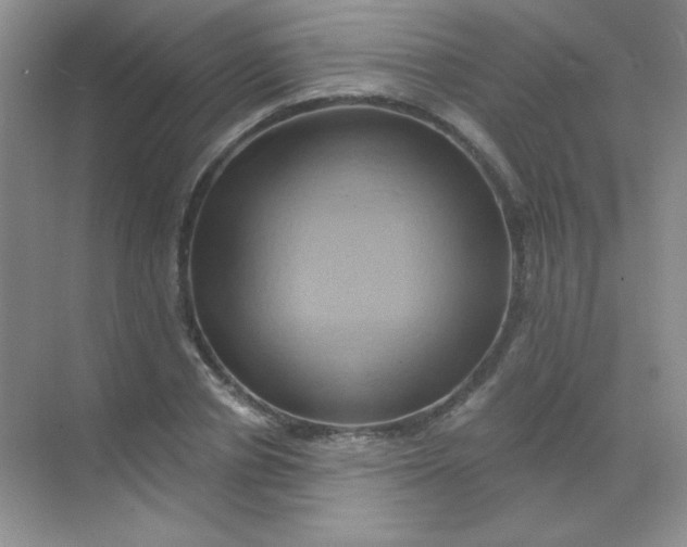 X0000068860834200605192015