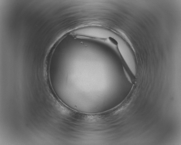 X0000068860835200605192015