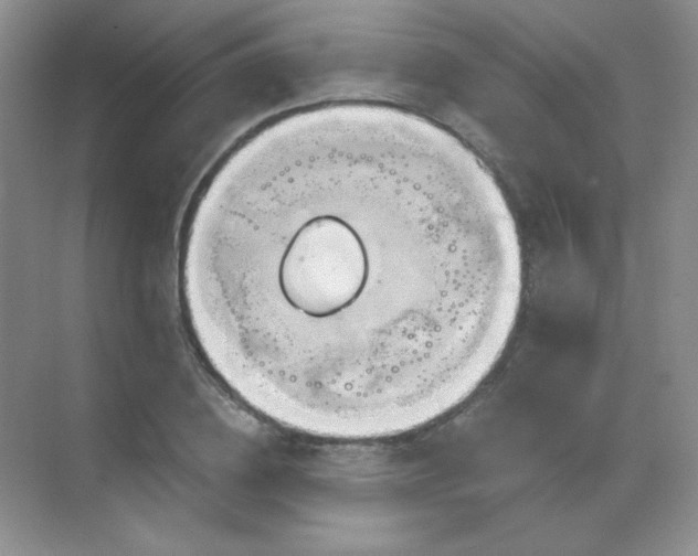 X0000068860836200605192015