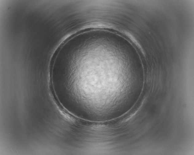 X0000068860837200605192015