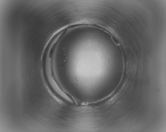 X0000068860838200605192015