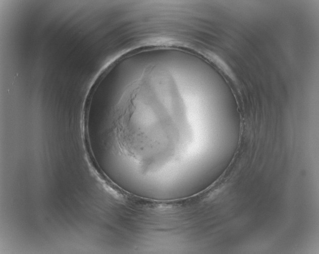 X0000068860839200605192015