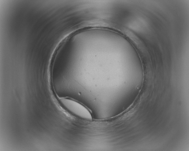 X0000068860840200605192015