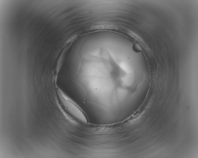 X0000068860841200605192015