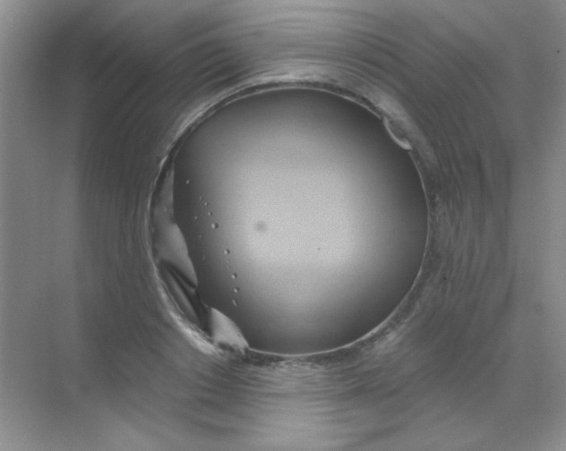 X0000068860842200605192015