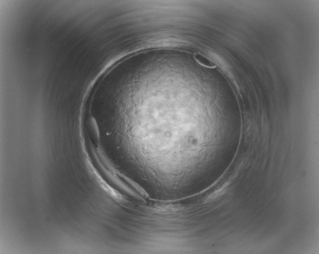 X0000068860843200605192015