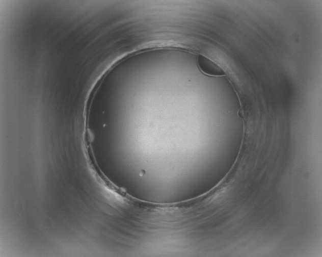 X0000068860844200605192015