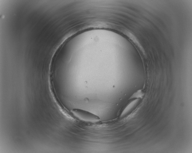 X0000068860845200605192015