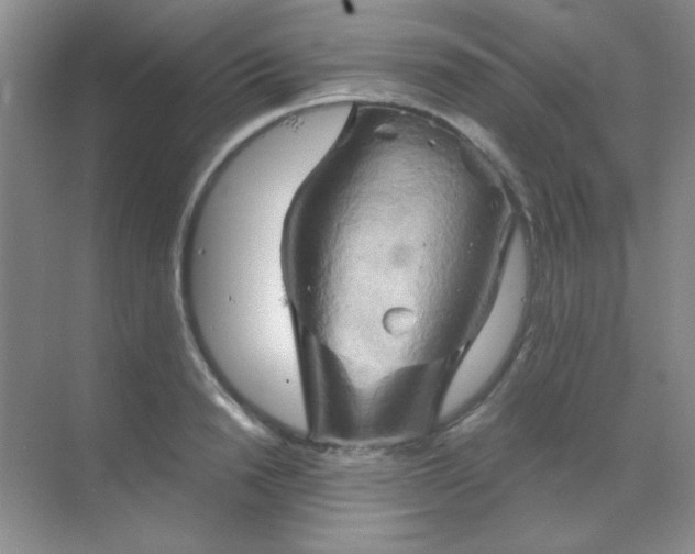 X0000068860846200605192015