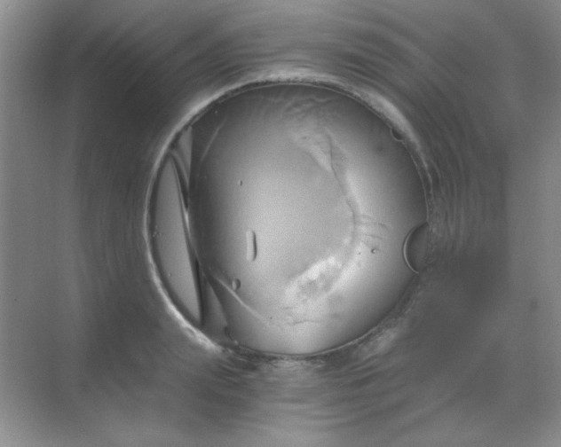 X0000068860847200605192015