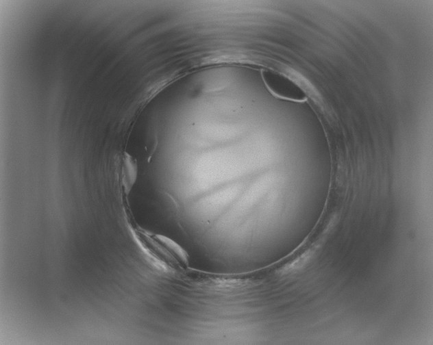 X0000068860849200605192015