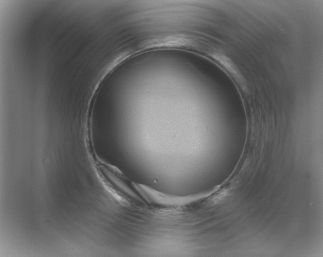 X0000068860850200605192015