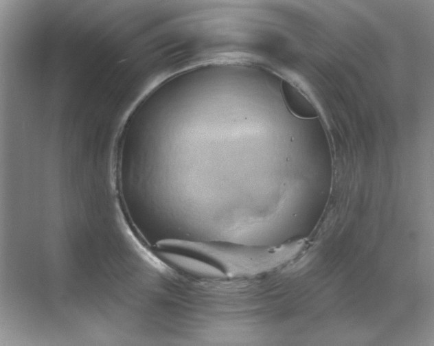 X0000068860851200605192015