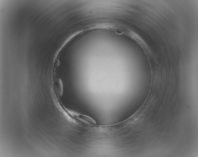 X0000068860852200605192015