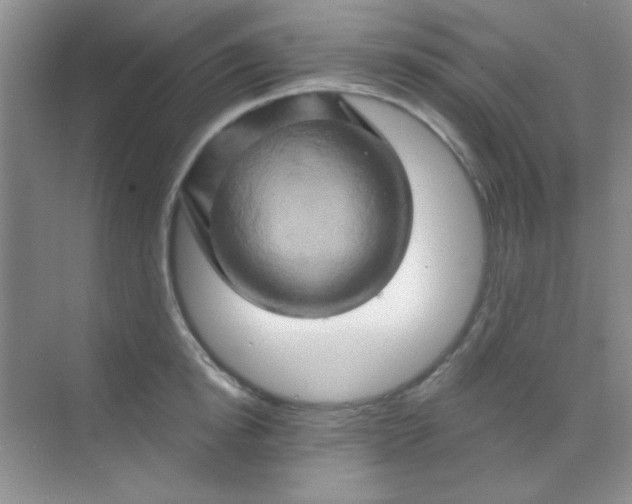 X0000068860854200605192015