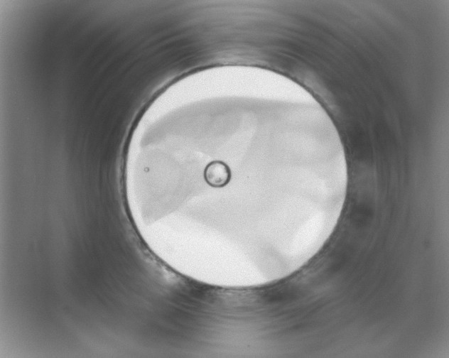 X0000068860856200605192015