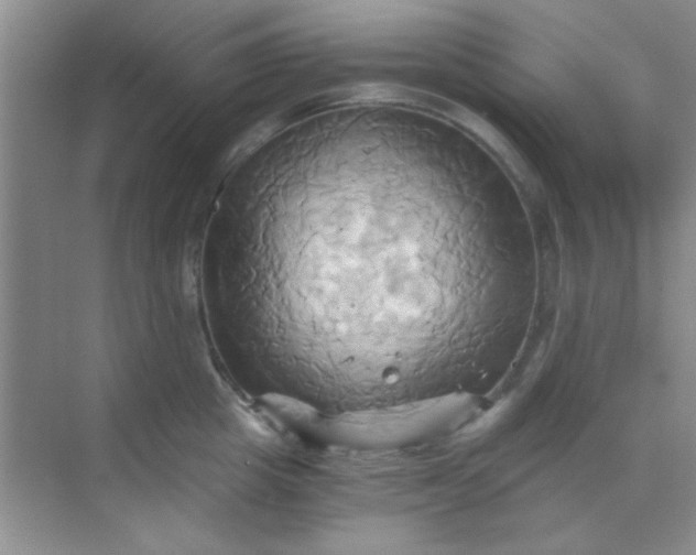 X0000068860857200605192015