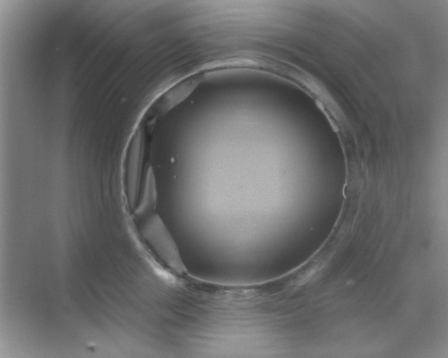 X0000068860858200605192015