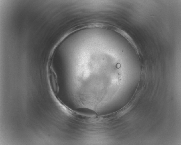 X0000068860859200605192015