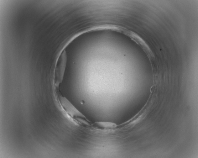 X0000068860860200605192015