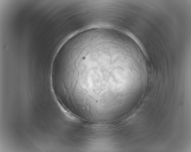 X0000068860861200605192015