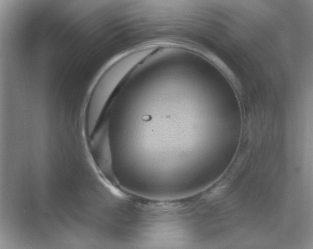 X0000068860862200605192015