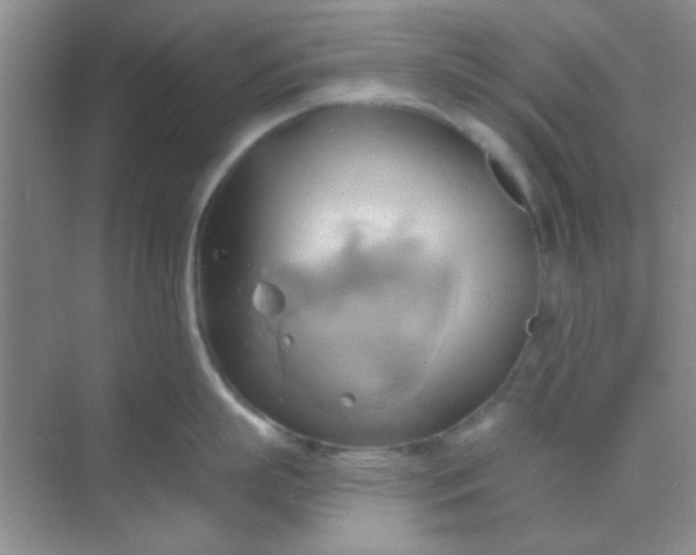 X0000068860863200605192015