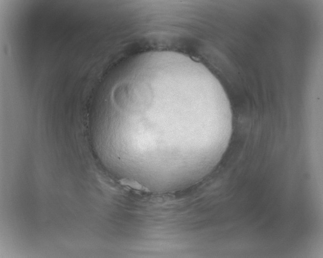 X0000068860865200605192015