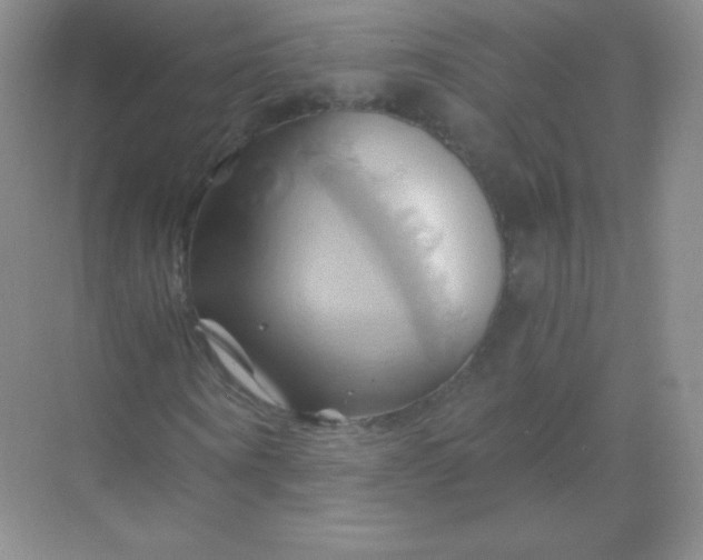 X0000068860866200605192015