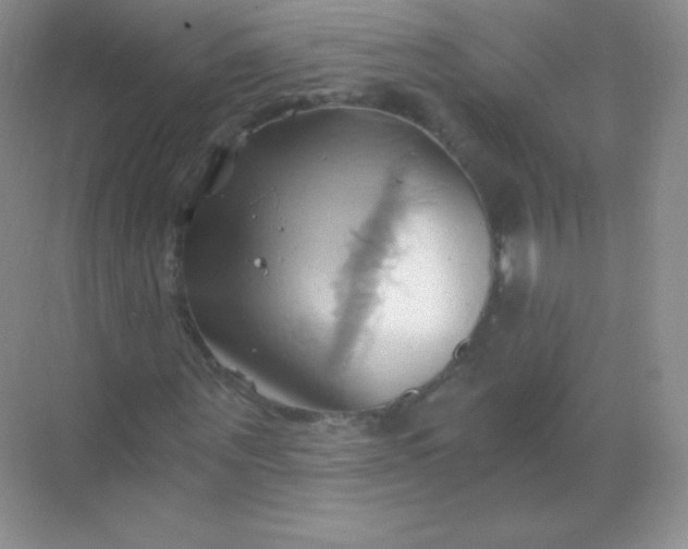 X0000068860867200605192015