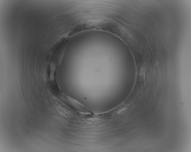 X0000068860868200605192015