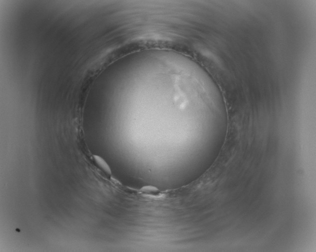 X0000068860870200605192015