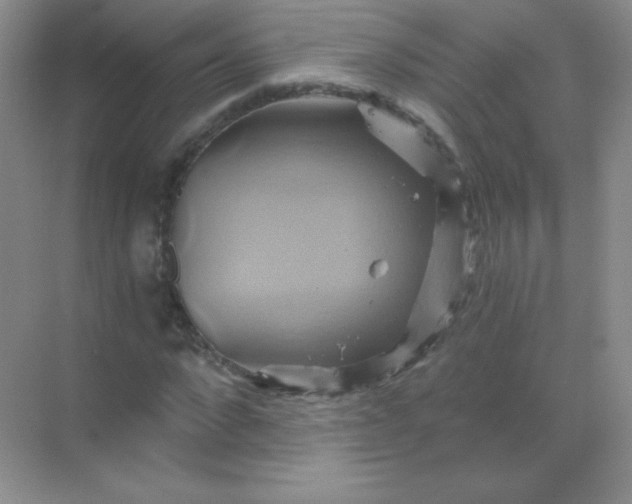 X0000068860872200605192014