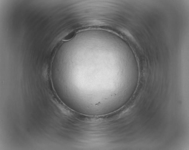 X0000068860873200605192014