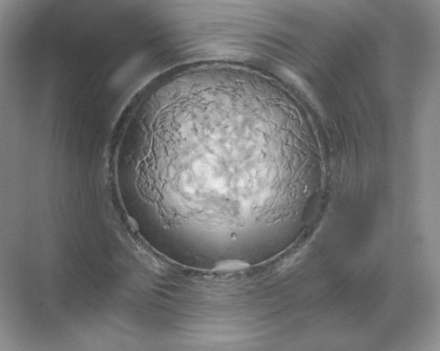 X0000068860875200605192014