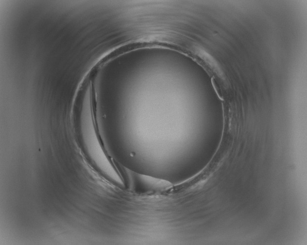 X0000068860876200605192014