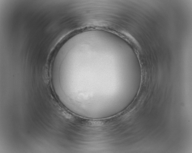 X0000068860878200605192014