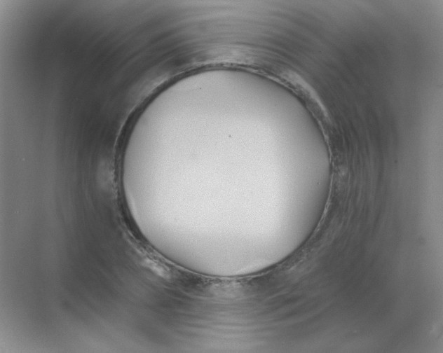 X0000068860882200605192014