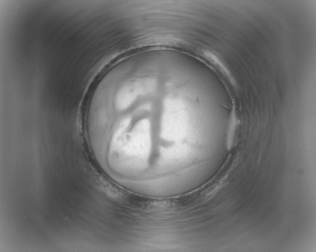 X0000068860883200605192014