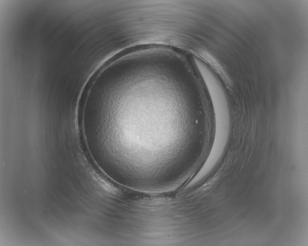 X0000068860884200605192014