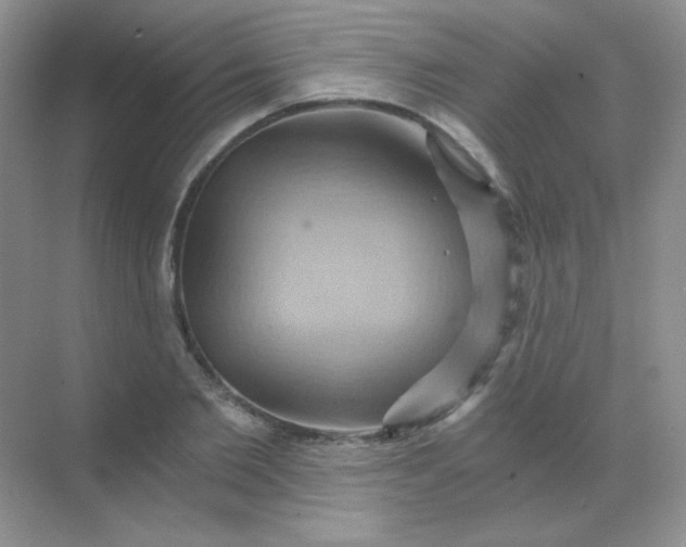 X0000068860885200605192014