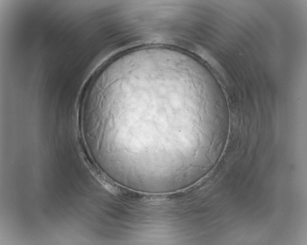 X0000068860886200605192014