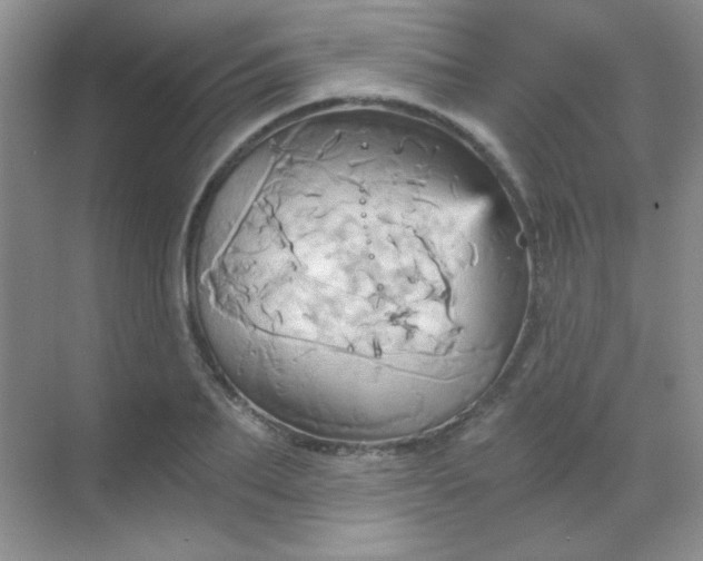 X0000068860887200605192014