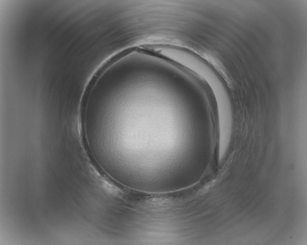 X0000068860888200605192014