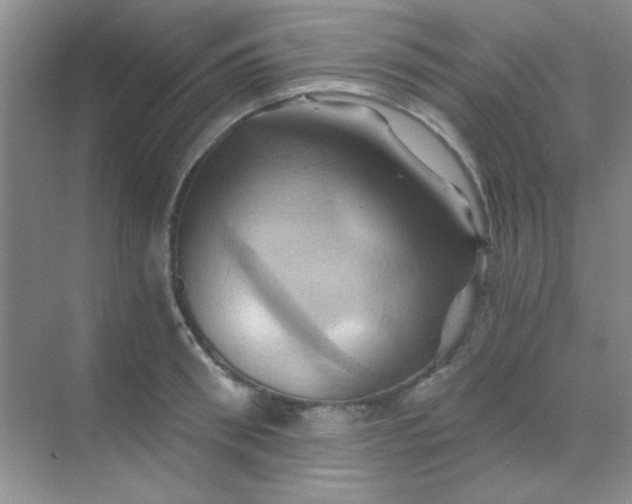 X0000068860898200605192014